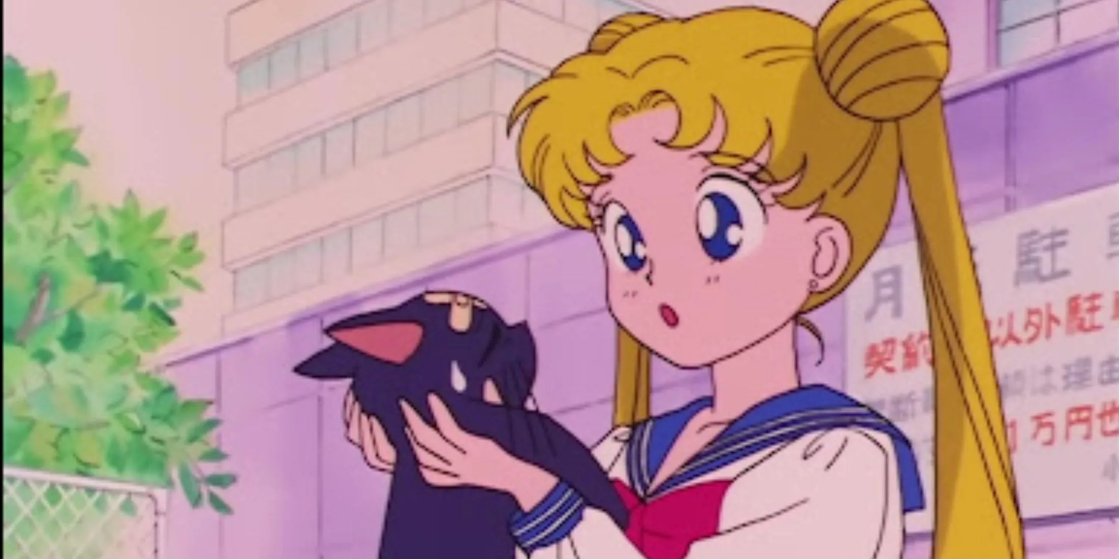 Луна и Усаги в «Сейлор Мун»