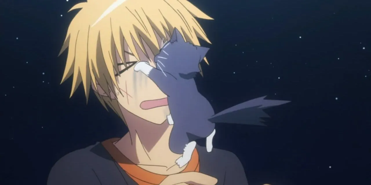 Кот Лихт и Такуми из Maid Sama