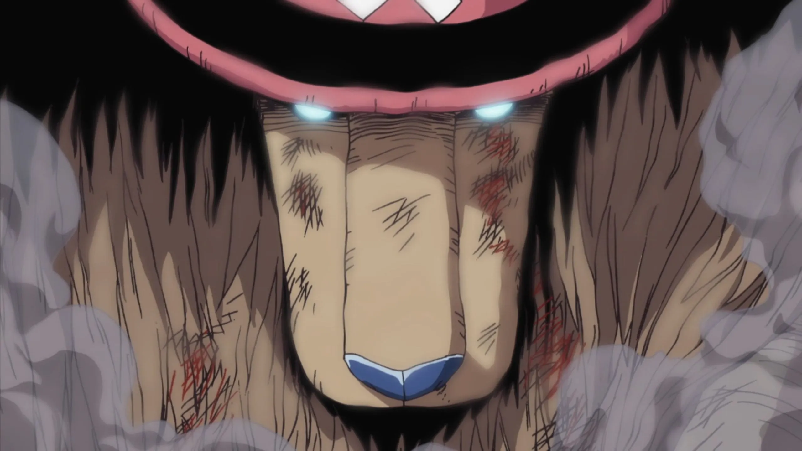 Чоппер крупным планом, «Ван-Пис» серия 292